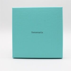 Tiffany & Co Big Tiffany Gift Box in Tiffany Blue Signature color 💚💙🎁